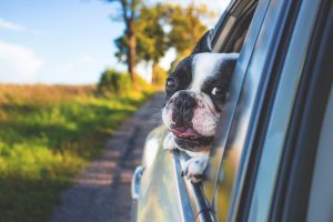 Toekomst van rijden: integratie van boordsystemen, navigatie-entertainment, elektrisch-hybride technologie en veiligheidsvoorzieningen in auto's